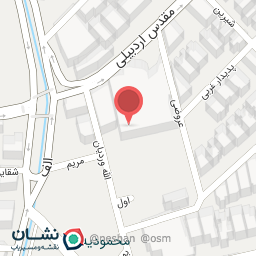 عکس پیتزا خاتون