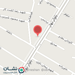 عکس کیف و کفش ریحان 