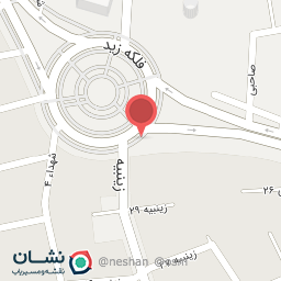 عکس تزئینات اتومبیل زید