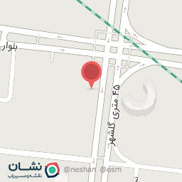 عکس کیف وکفش یونیک