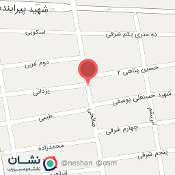 عکس سبزی خردکنی ریحون 2