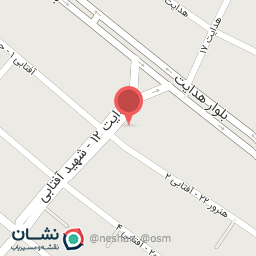 عکس الکتریکی علامه