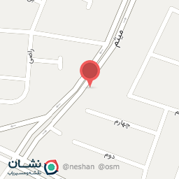 عکس الکتریکی میثم