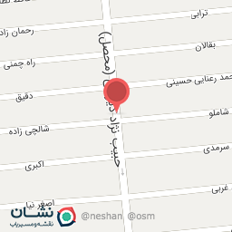 عکس فلافل بیروتی 