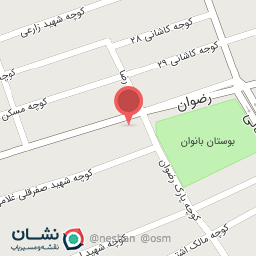 عکس تاکسی تلفنی پارسا