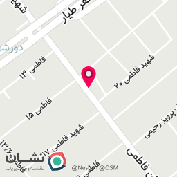 عکس پیرایش لئو