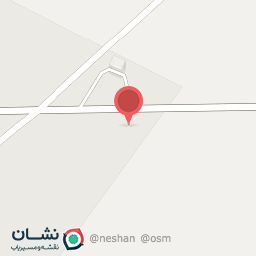 عکس پیتزا هنرمند