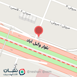 عکس دکتر حسن مسعودیان سعدآباد