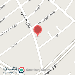 عکس دوربین مدار بسته و دزگیر 