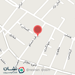 عکس شرکت بانیان خطوط پرشین