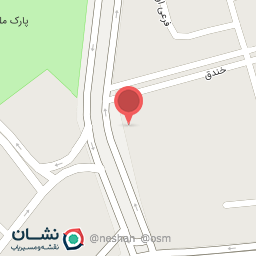 عکس گل فروشی تولیپ