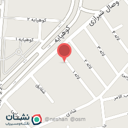 عکس فلافل نخود طلایی