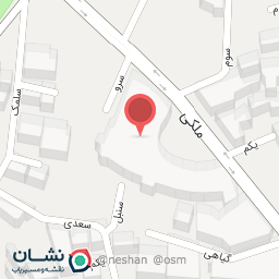 عکس کیف و کفش رنو