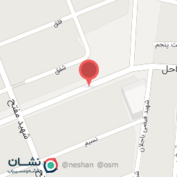 عکس کفش بابک 