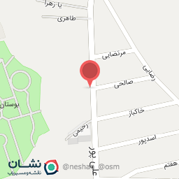 عکس شوینده بهداشتی رئیسیان