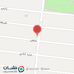 عکس تهیه غذای بهار نارنج