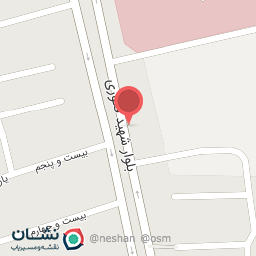 عکس کفش پاریو 