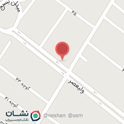 عکس مرغ و ماهی داوود سمیع