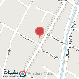 عکس کارواش دلفین