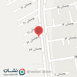 عکس اتو سرویس ناجی