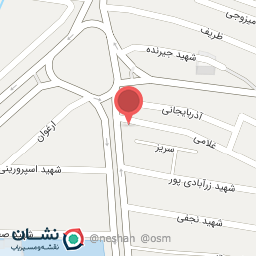 عکس گل فروشی پانیذ