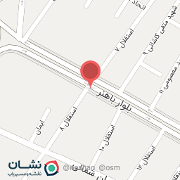 عکس تزئینات اتومبیل سلیمانیان