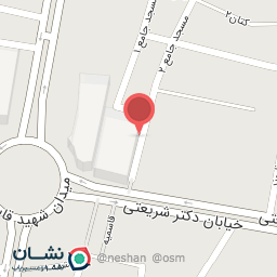 عکس آکواریوم دلفین