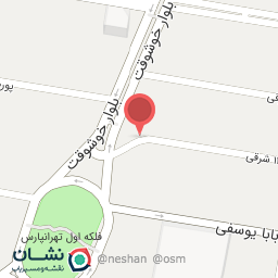 عکس فرش دیبا