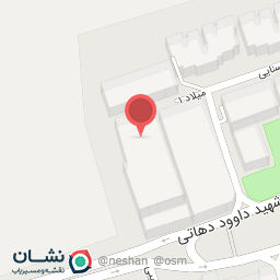 عکس شهید حمید رفیعی