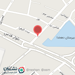 عکس فروشگاه چمدان نعیمی 