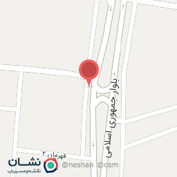 عکس پیتزا ساندویچ من و شما 