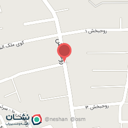 عکس نمایندگی پخش قطعات بوتان (فروشگاه میثم)