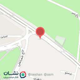 عکس هایپر میوه شاه توت