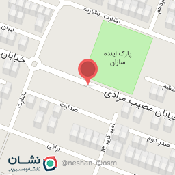 عکس ابزار امیر علی (نیلی)