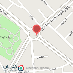 عکس تهیه غذای سان رایز