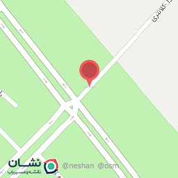 عکس طلا و جواهری نارویی 