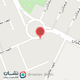 عکس ‌پیتزا تاج محل