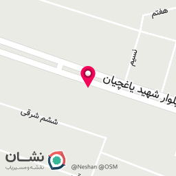 عکس بیفسی برگر