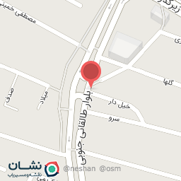 عکس تهیه غذای پرنس