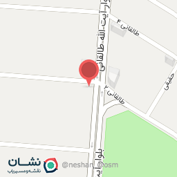 عکس کفش آریا