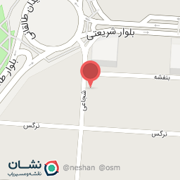 عکس شطرنج آریا عظیمیه