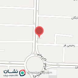 عکس مرغ کنتاکی