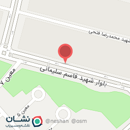 عکس فست فود پاچینی