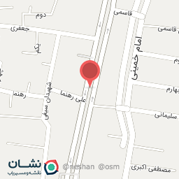 عکس کیف و کفش پرنسس