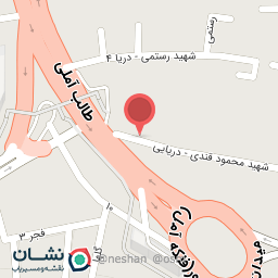 عکس مرغ و پروتئین ولی عصر