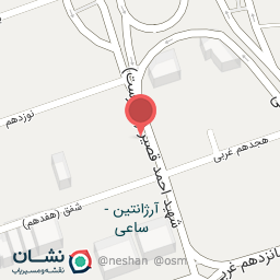 عکس پیتزا شونیز