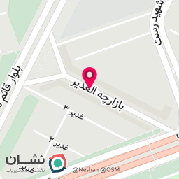 عکس فست فود سید