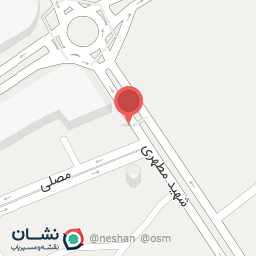 عکس ماهی و میگو جنوب