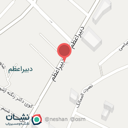 عکس کباب مخصوص مصدق