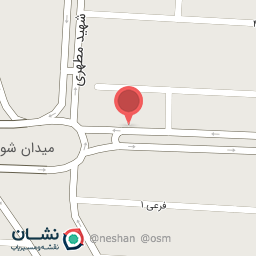 عکس نمایندگی شیرین عسل صالحی